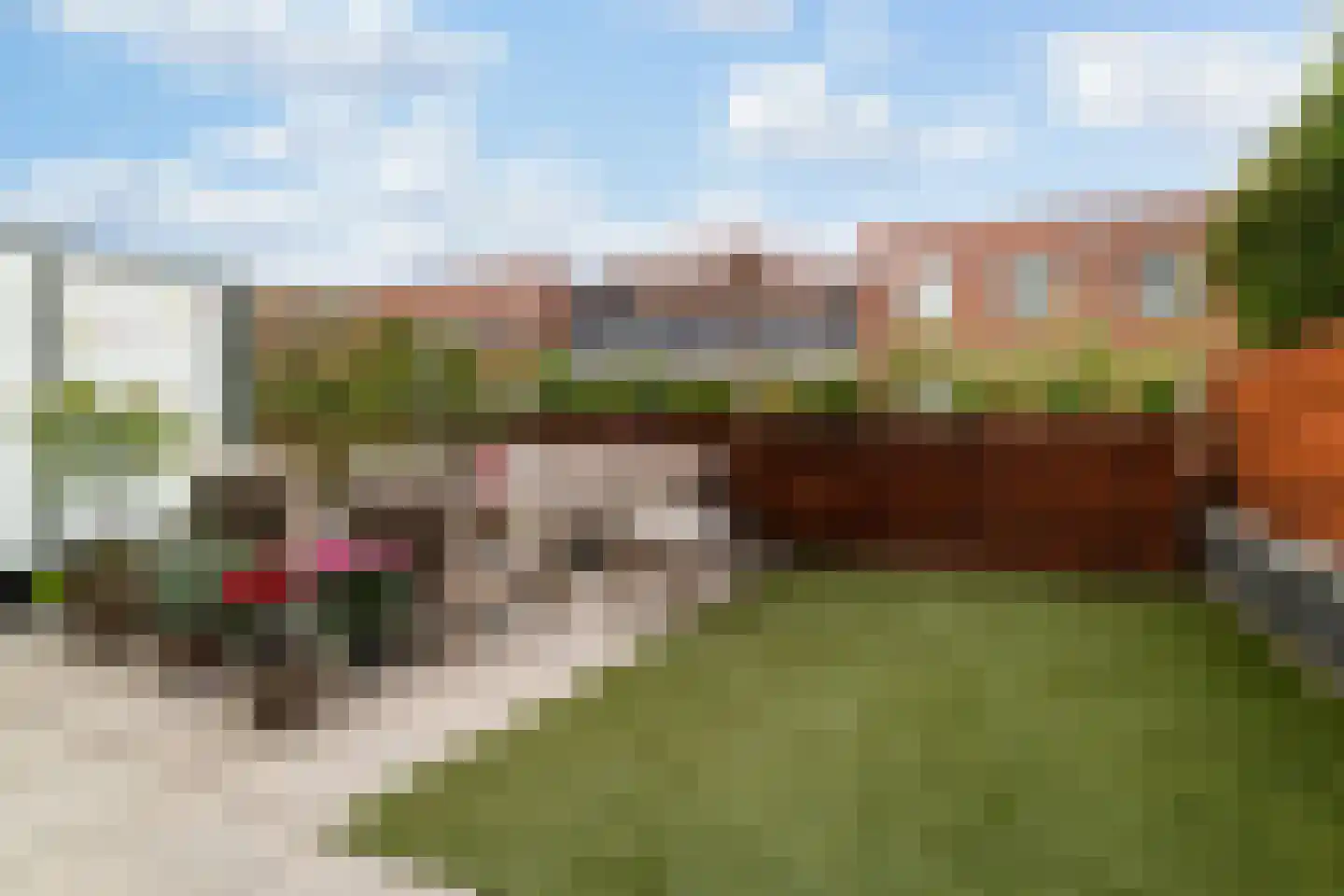 Oranjeboomstraat 26 B Rotterdam thumbnail 16