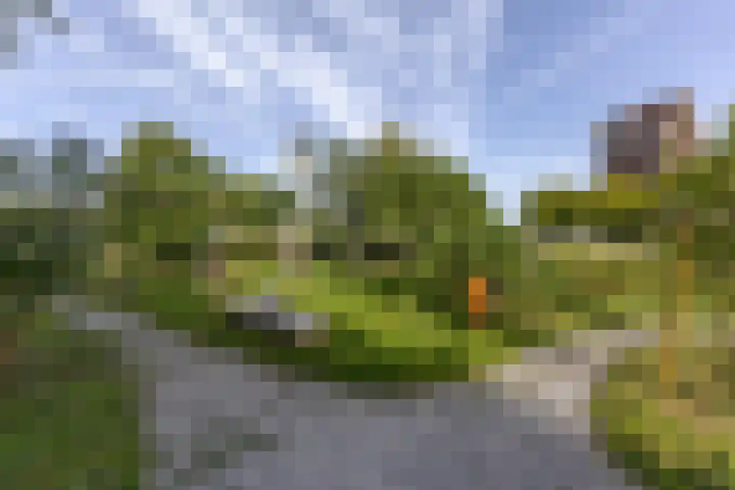 Oranjeboomstraat 28 B Rotterdam thumbnail 30
