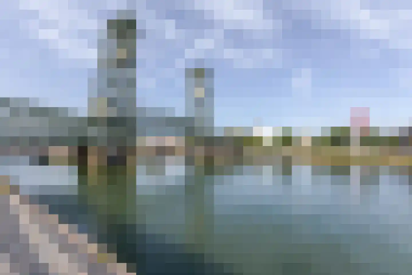 Oranjeboomstraat 28 B Rotterdam thumbnail 5
