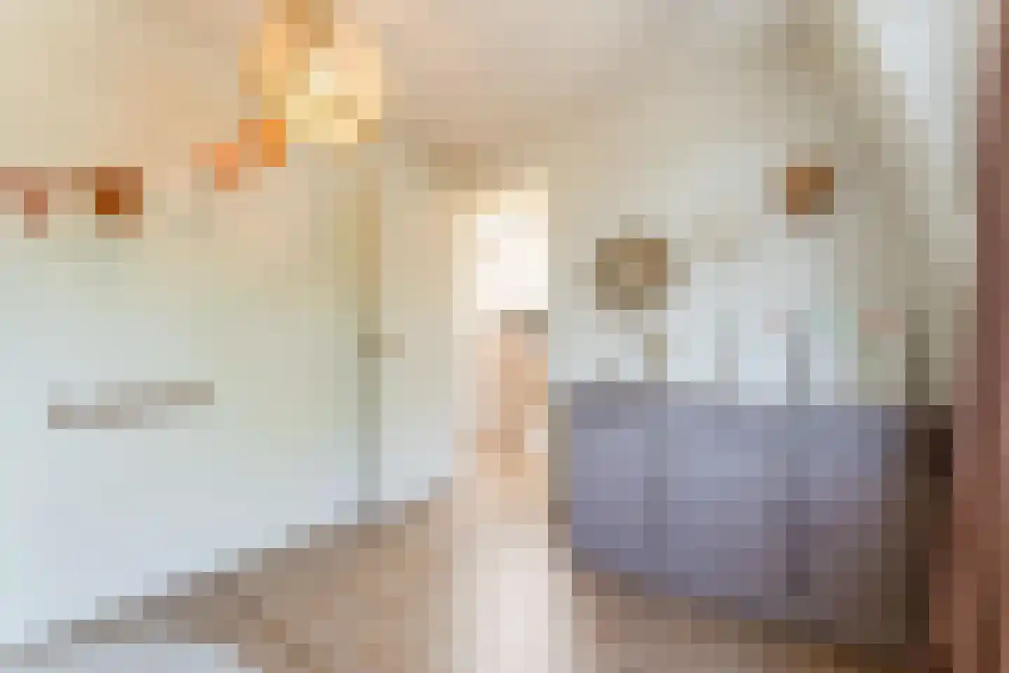Oranjeboomstraat 3 Haarlem thumbnail 21