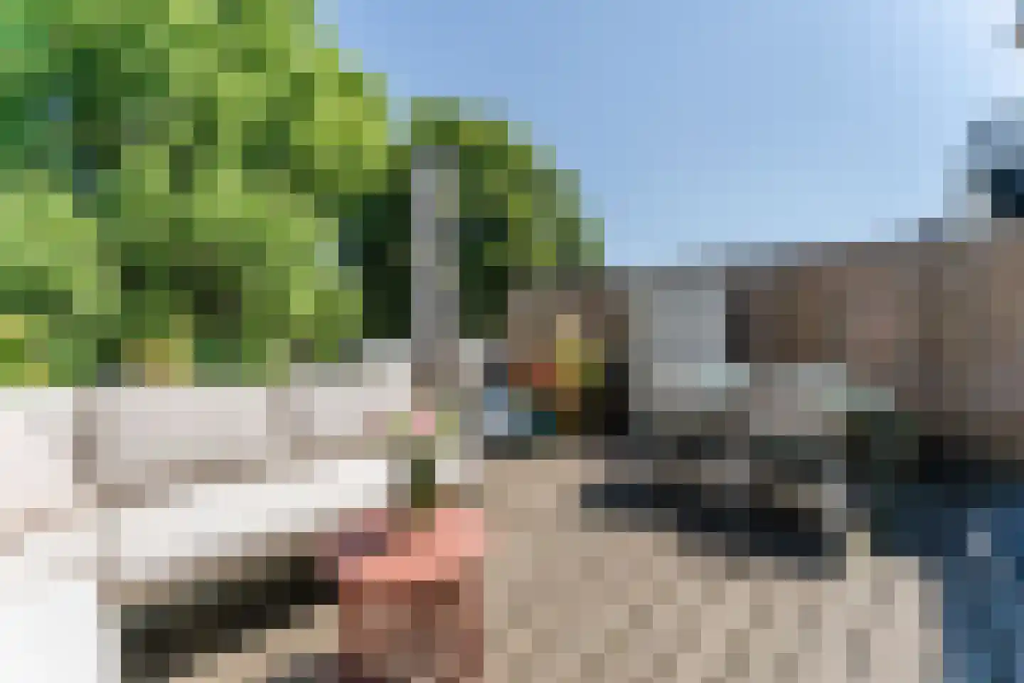 Oranjeboomstraat 3 Haarlem thumbnail 26