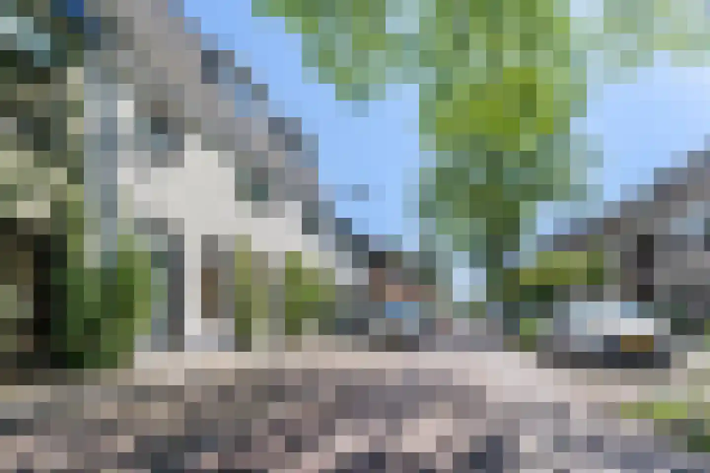 Oranjeboomstraat 3 Haarlem thumbnail 27