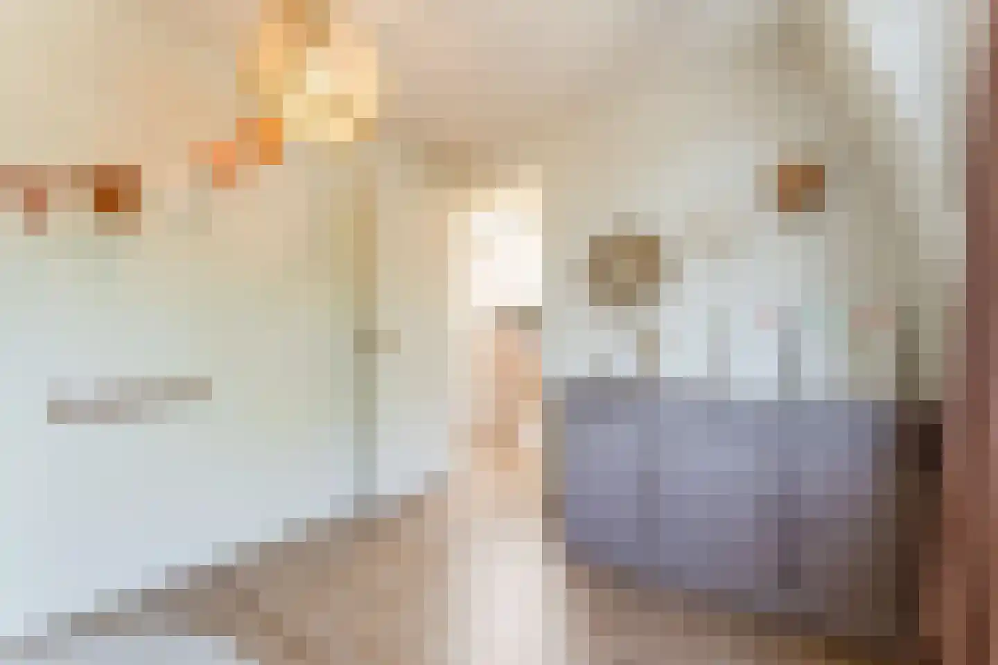 Oranjeboomstraat 3 Haarlem thumbnail 27