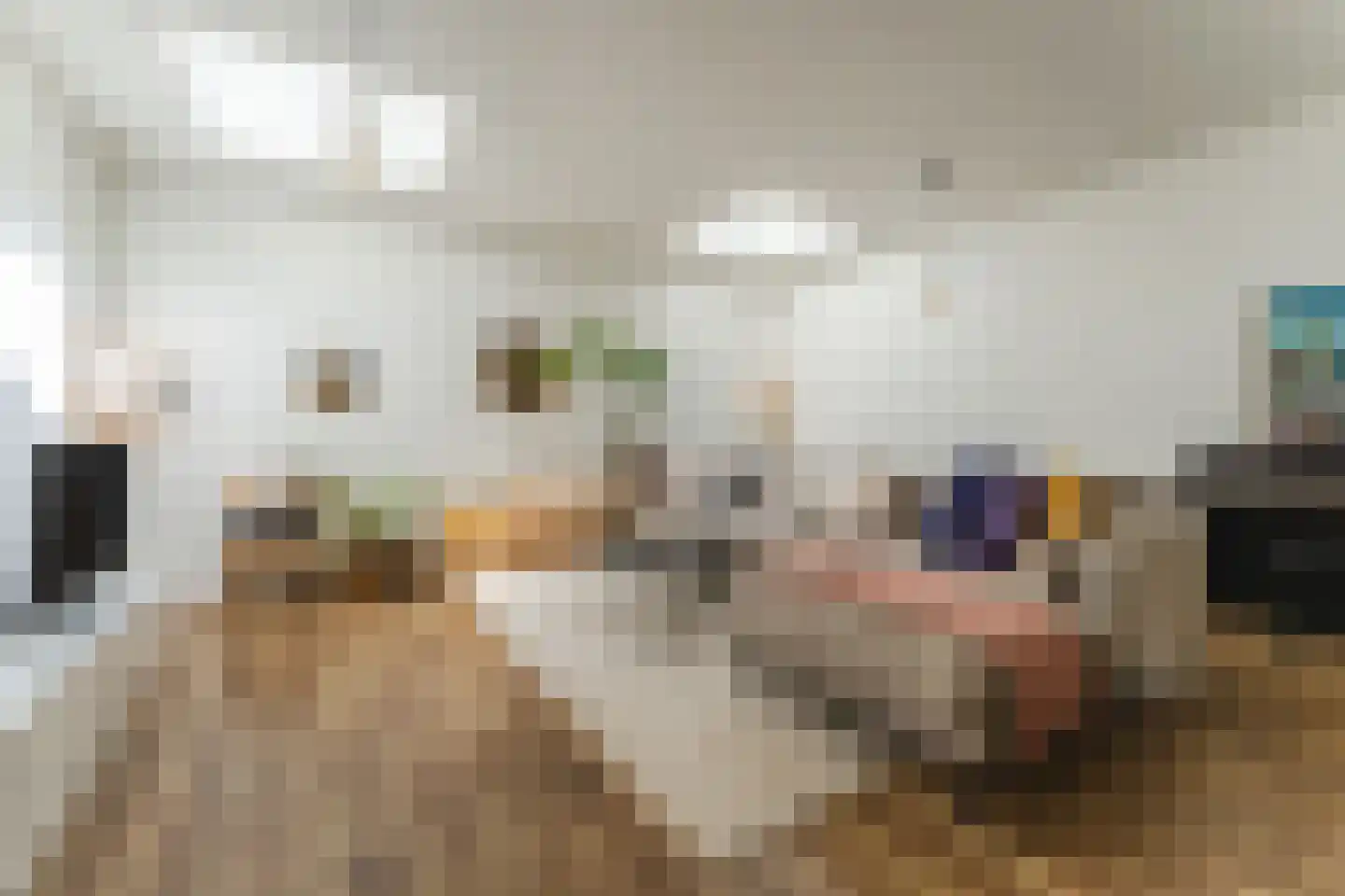 Oranjeboomstraat 3 Haarlem thumbnail 4