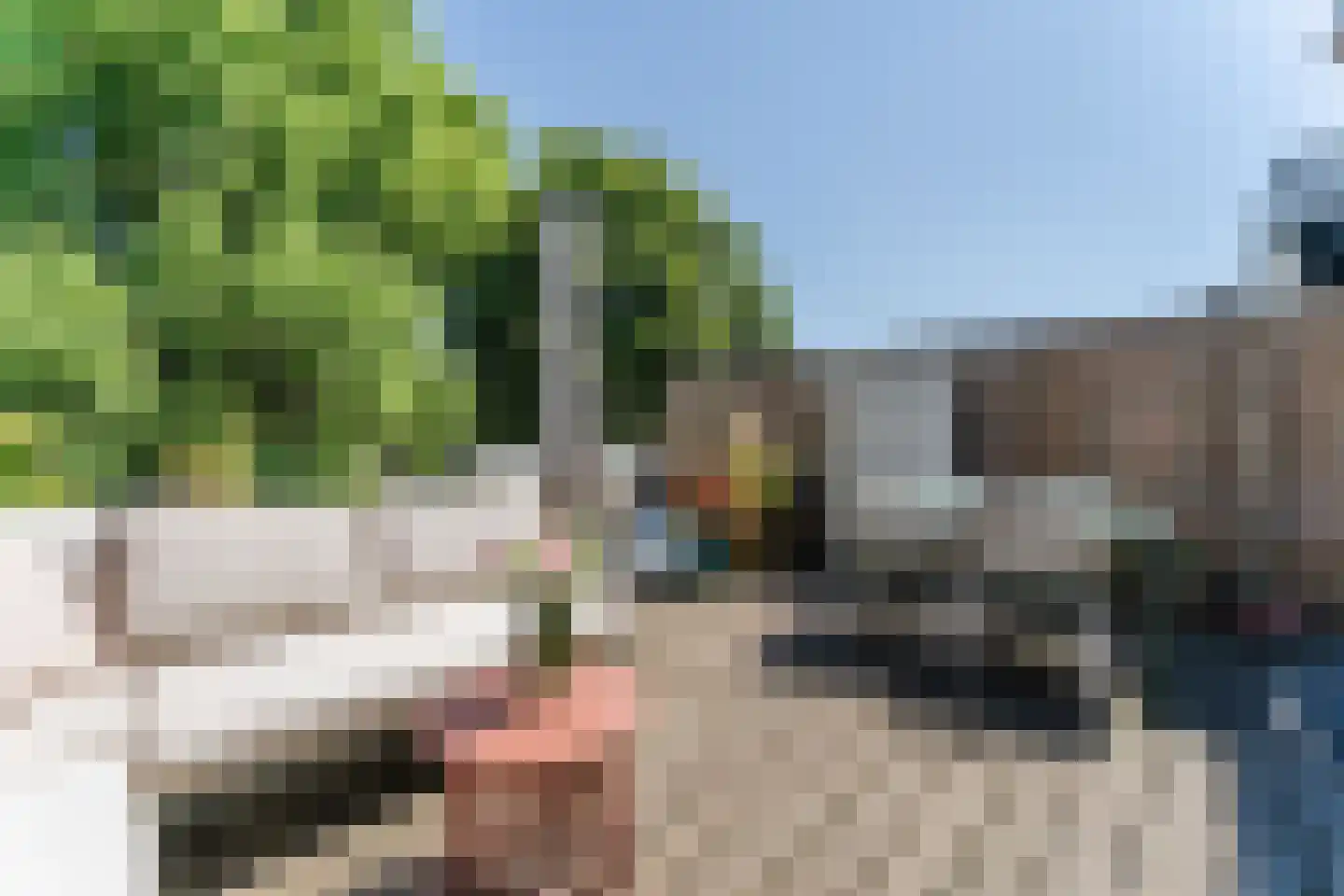 Oranjeboomstraat 3 Haarlem thumbnail 6