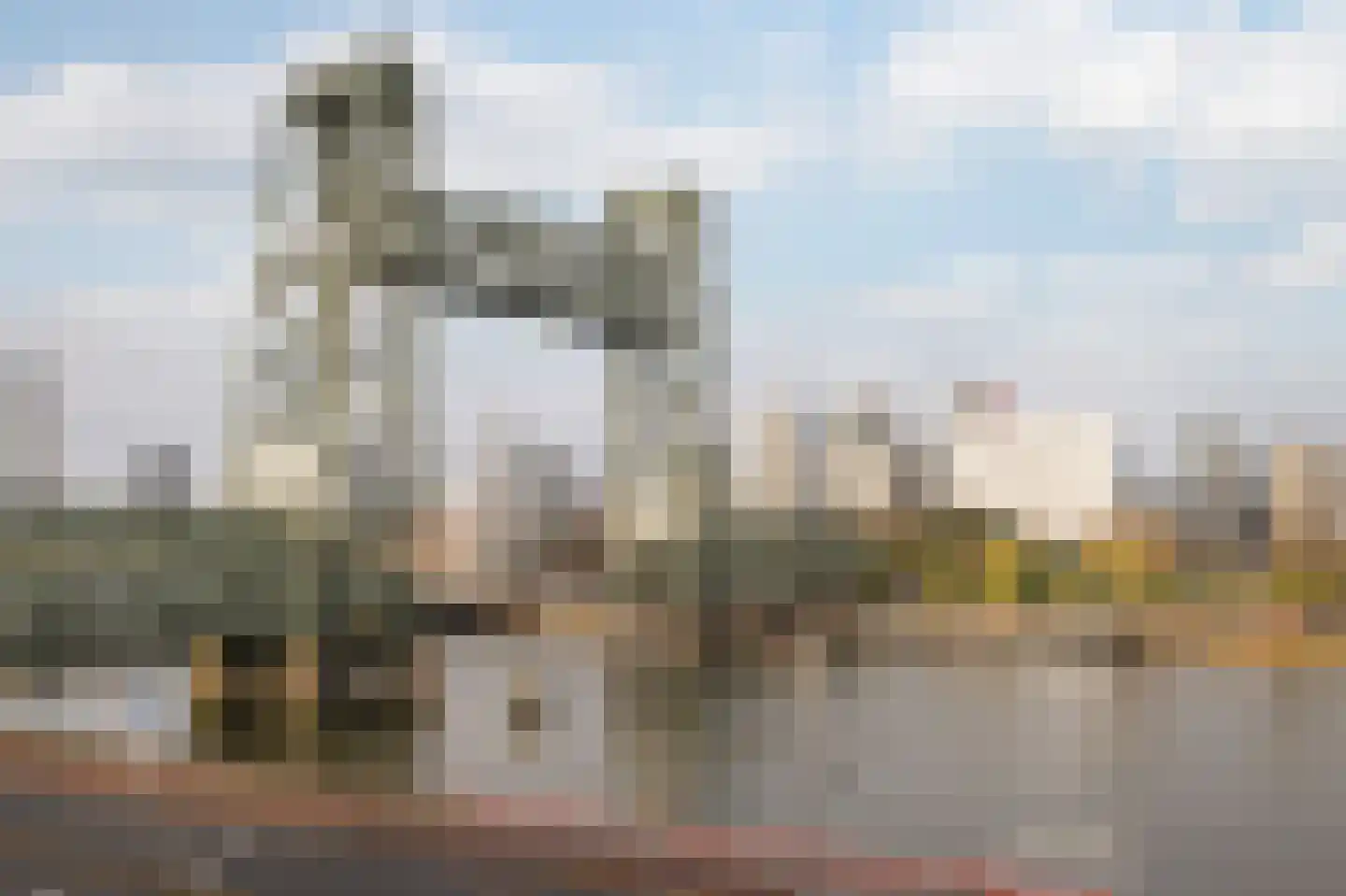 Oranjeboomstraat 4 C Rotterdam thumbnail 31