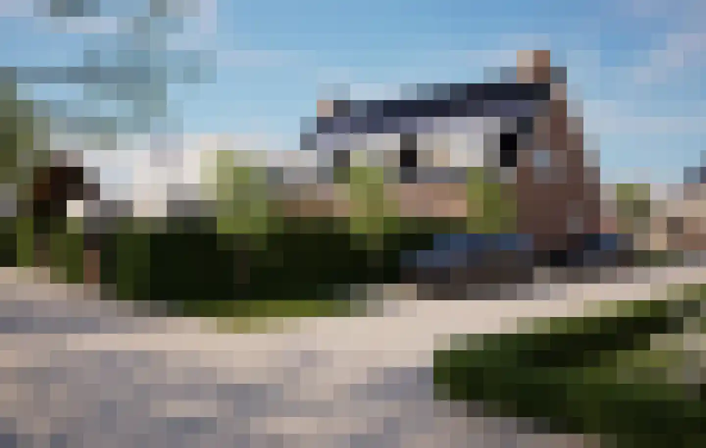 Oranjeboomstraat 4 Wemeldinge thumbnail 5