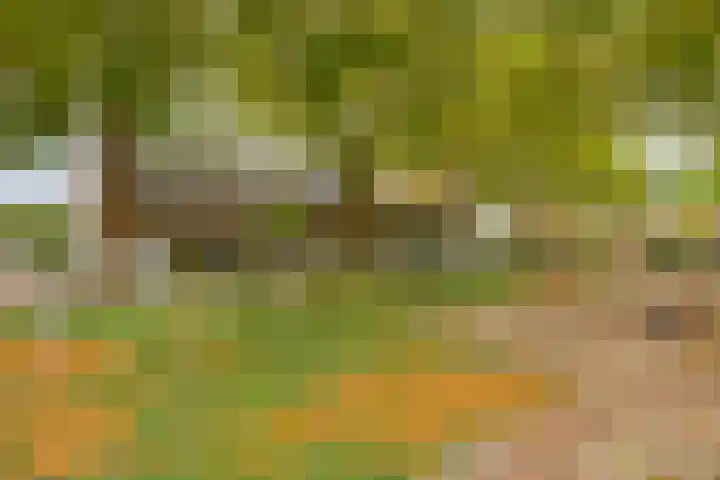 Oranjeboomstraat 40 Breda thumbnail 33
