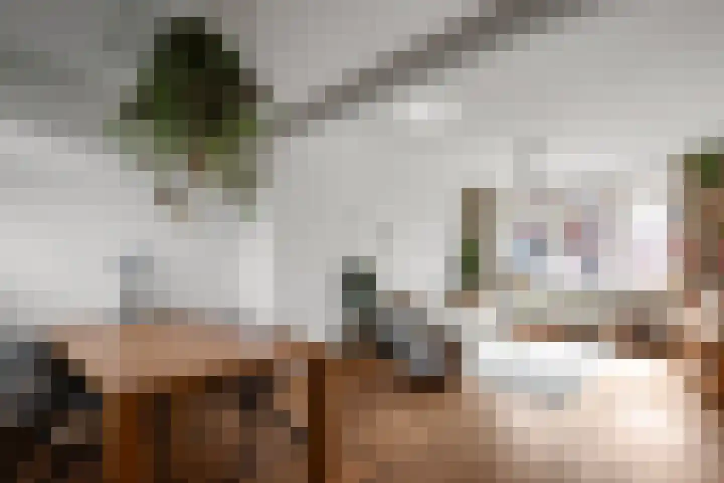 Oranjeboomstraat 46 Haarlem thumbnail 13