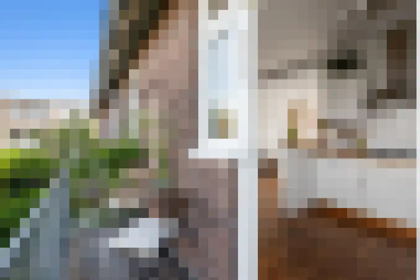 Oranjeboomstraat 46 Haarlem thumbnail 18