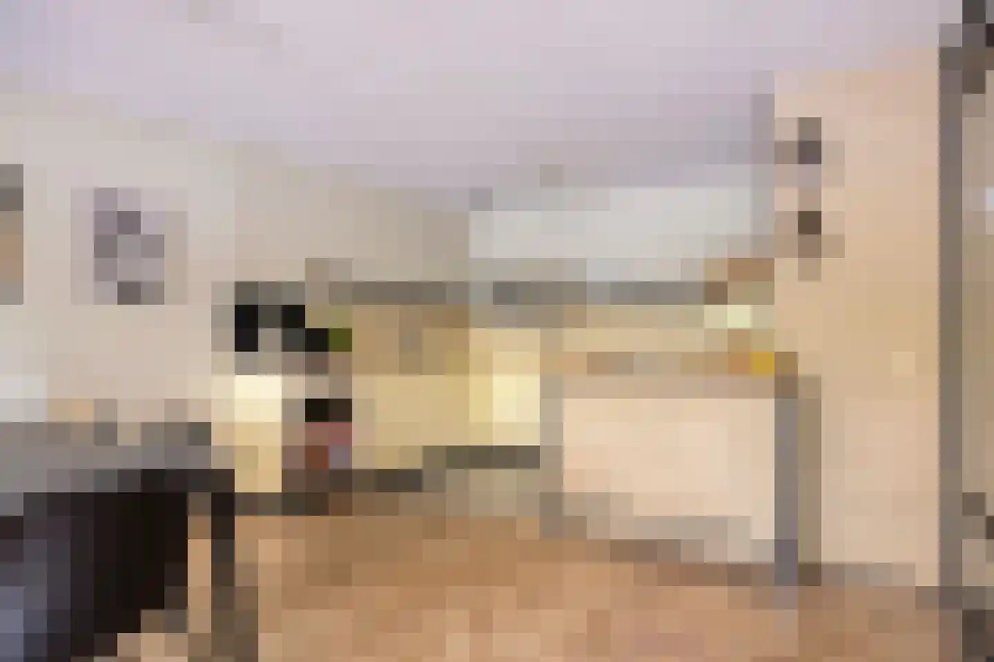 Oranjeboomstraat 50 B Rotterdam thumbnail 7