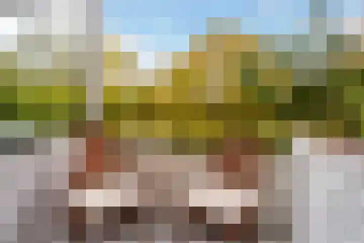 Oranjeboomstraat 54 D Rotterdam thumbnail 18