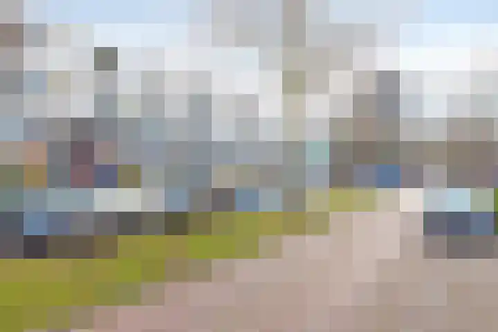 Oranjeboomstraat 56 D Rotterdam thumbnail 17