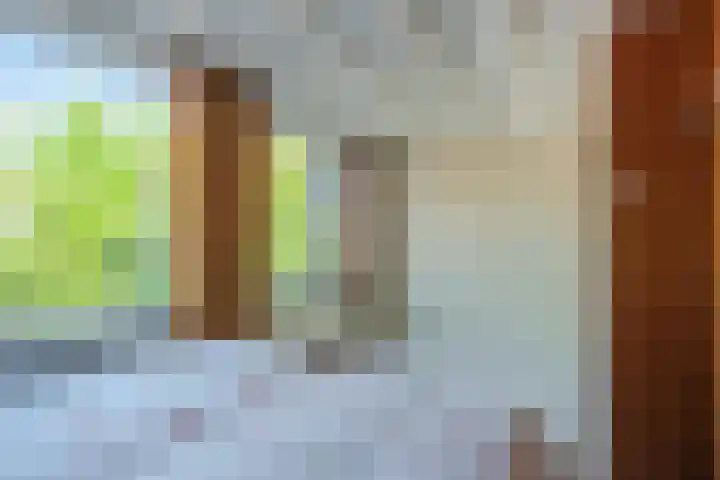 Oranjeboomstraat 6 Voorschoten thumbnail 20