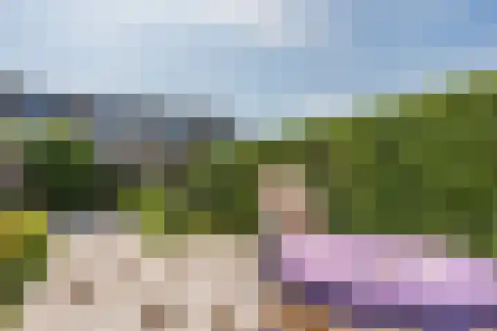 Oranjeboomstraat 6 Voorschoten thumbnail 31