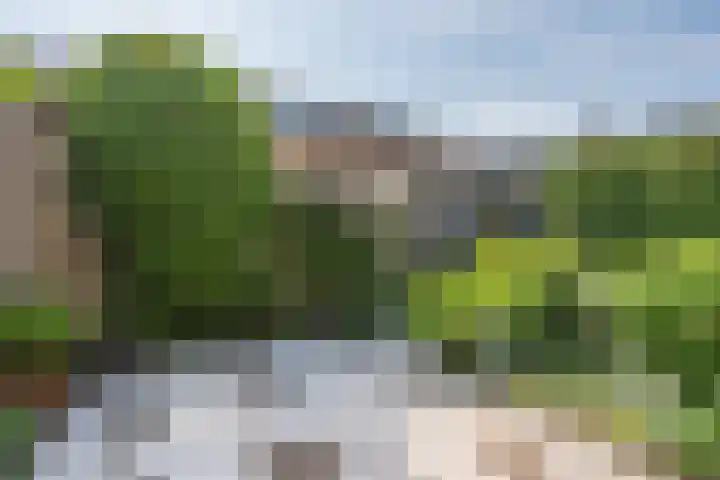 Oranjeboomstraat 6 Voorschoten thumbnail 33