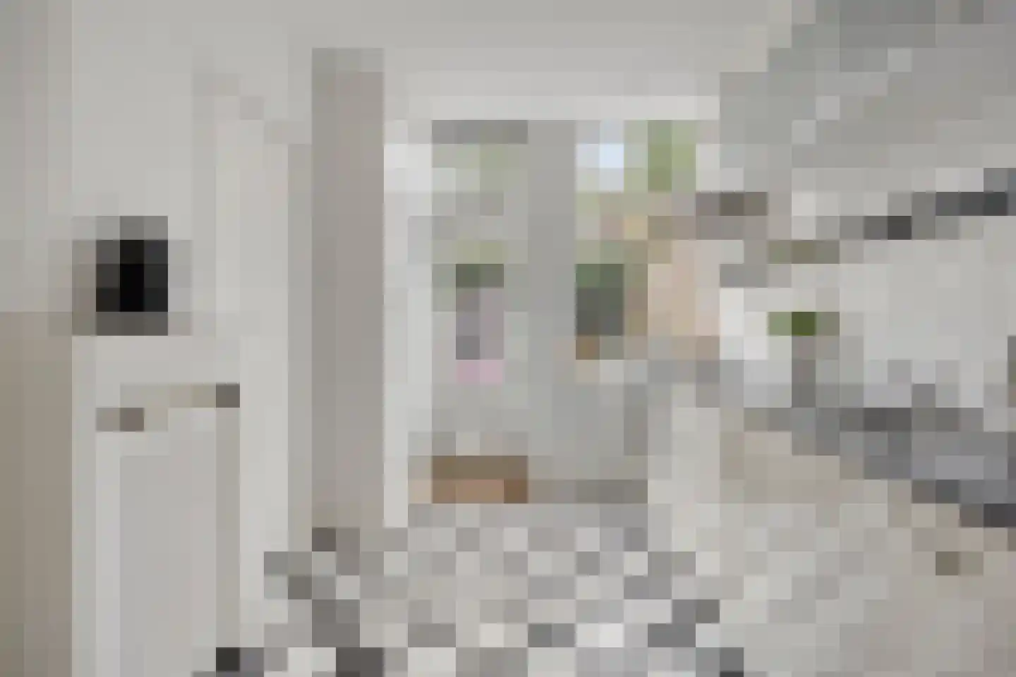 Oranjeboomstraat 63 Haarlem thumbnail 12