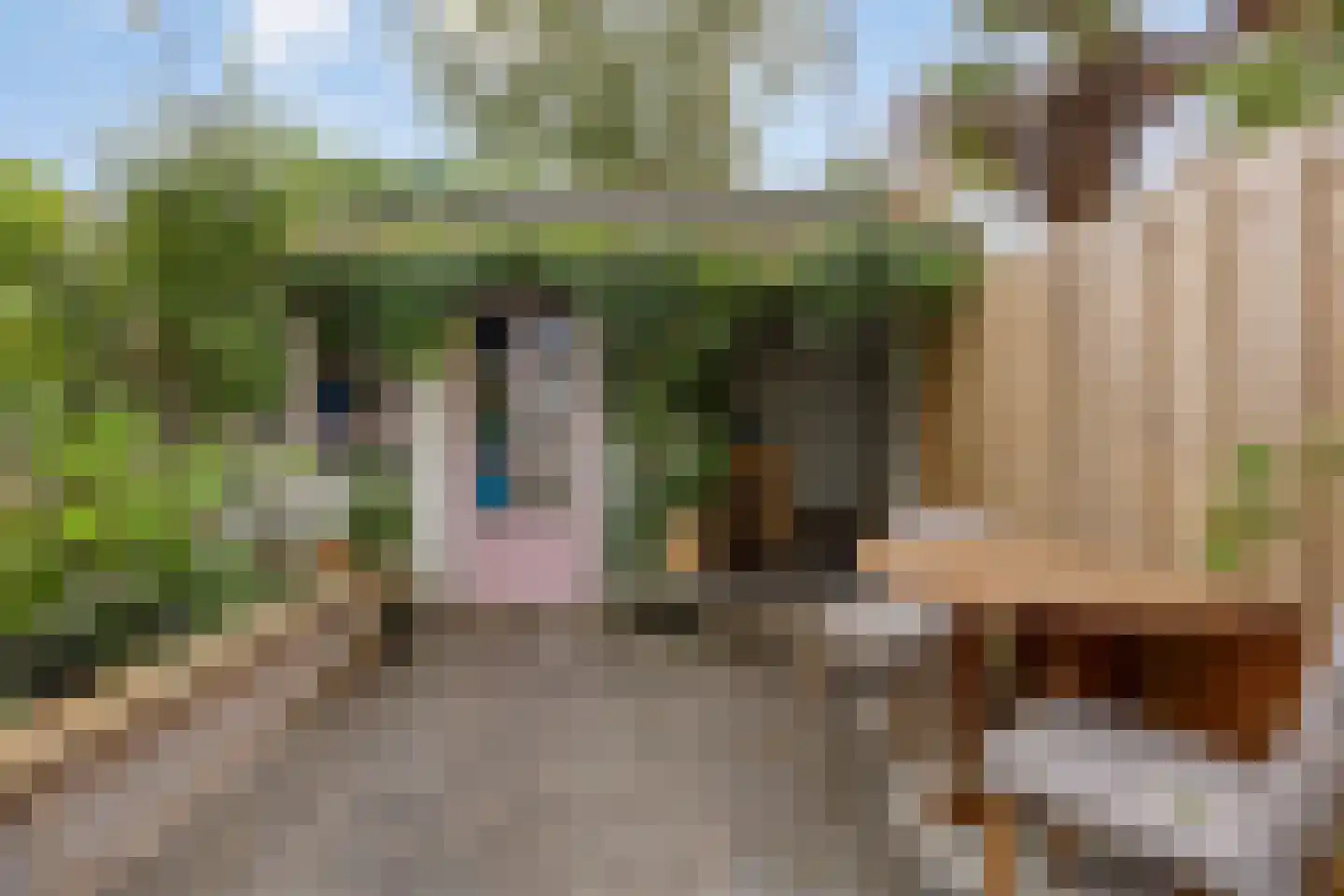 Oranjeboomstraat 63 Haarlem thumbnail 35