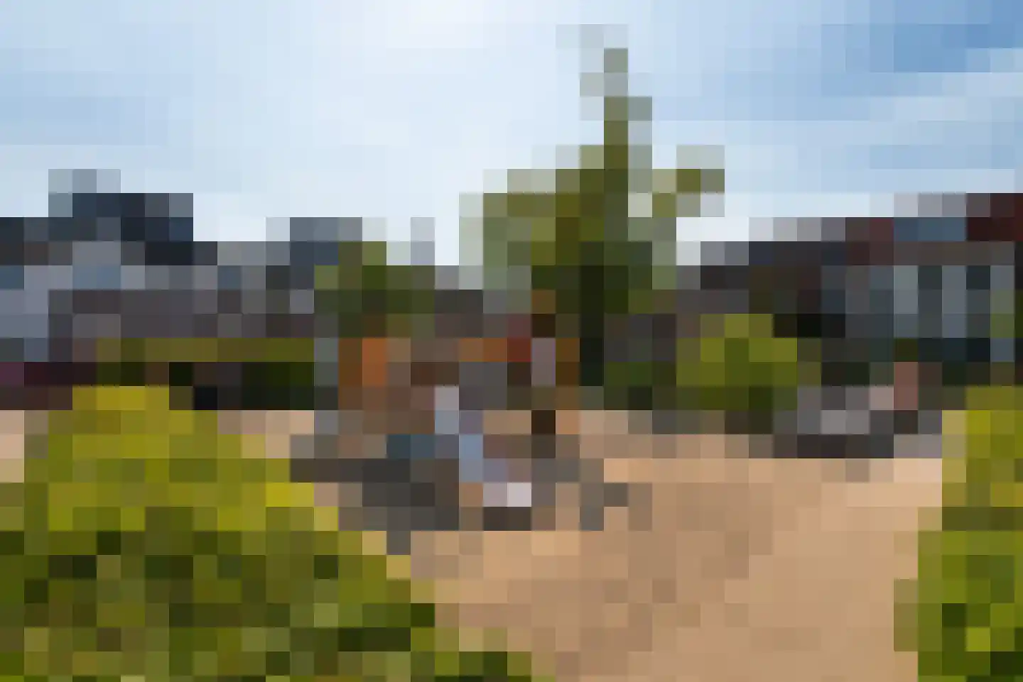 Oranjeboomstraat 73 Haarlem thumbnail 24