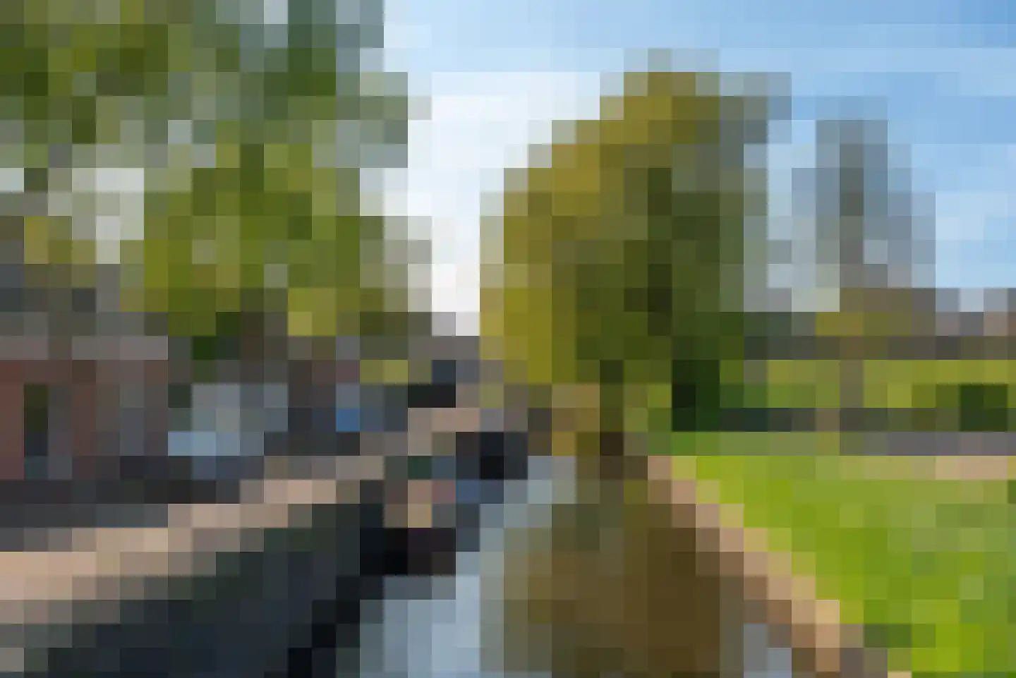 Oranjeboomstraat 73 Haarlem thumbnail 25