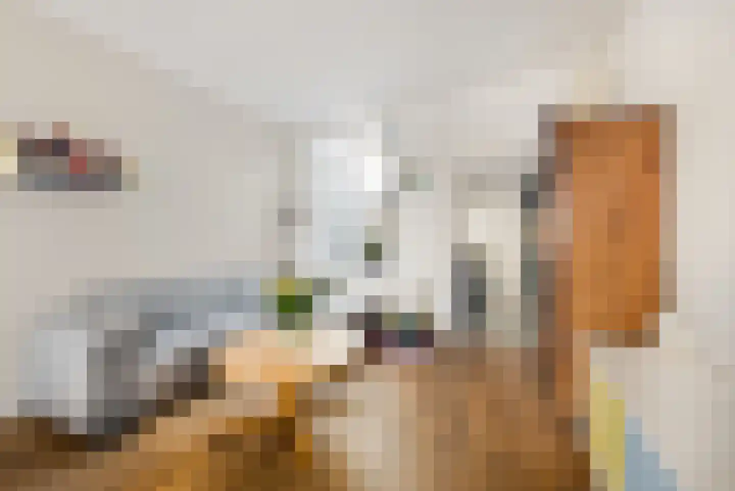 Oranjeboomstraat 73 Haarlem thumbnail 4