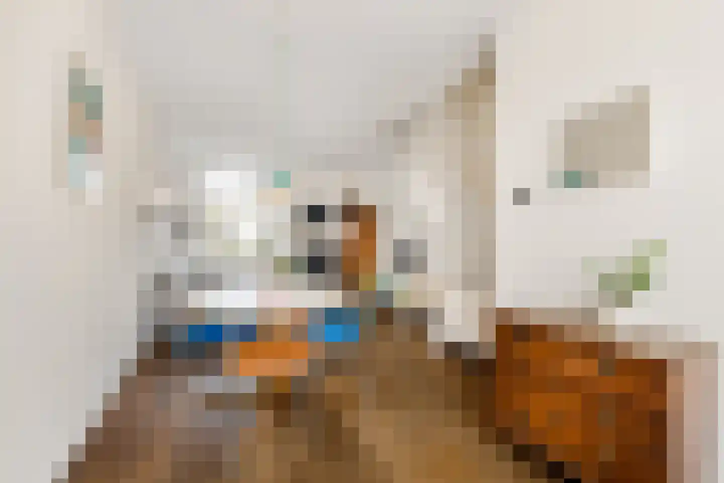 Oranjeboomstraat 73 Haarlem thumbnail 6