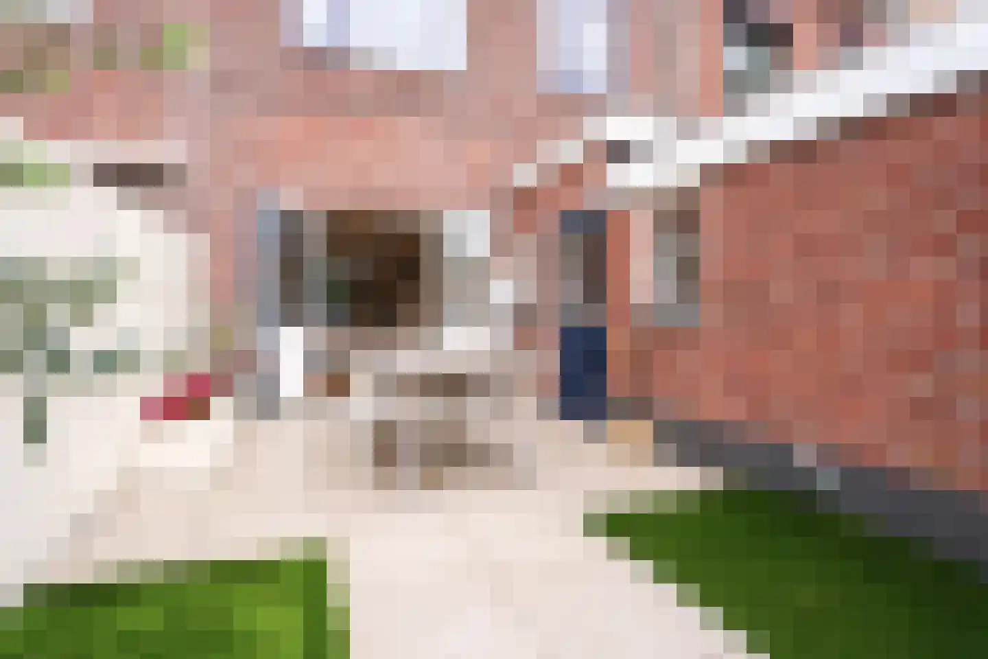 Oranjeboomstraat 85 Breda thumbnail 17