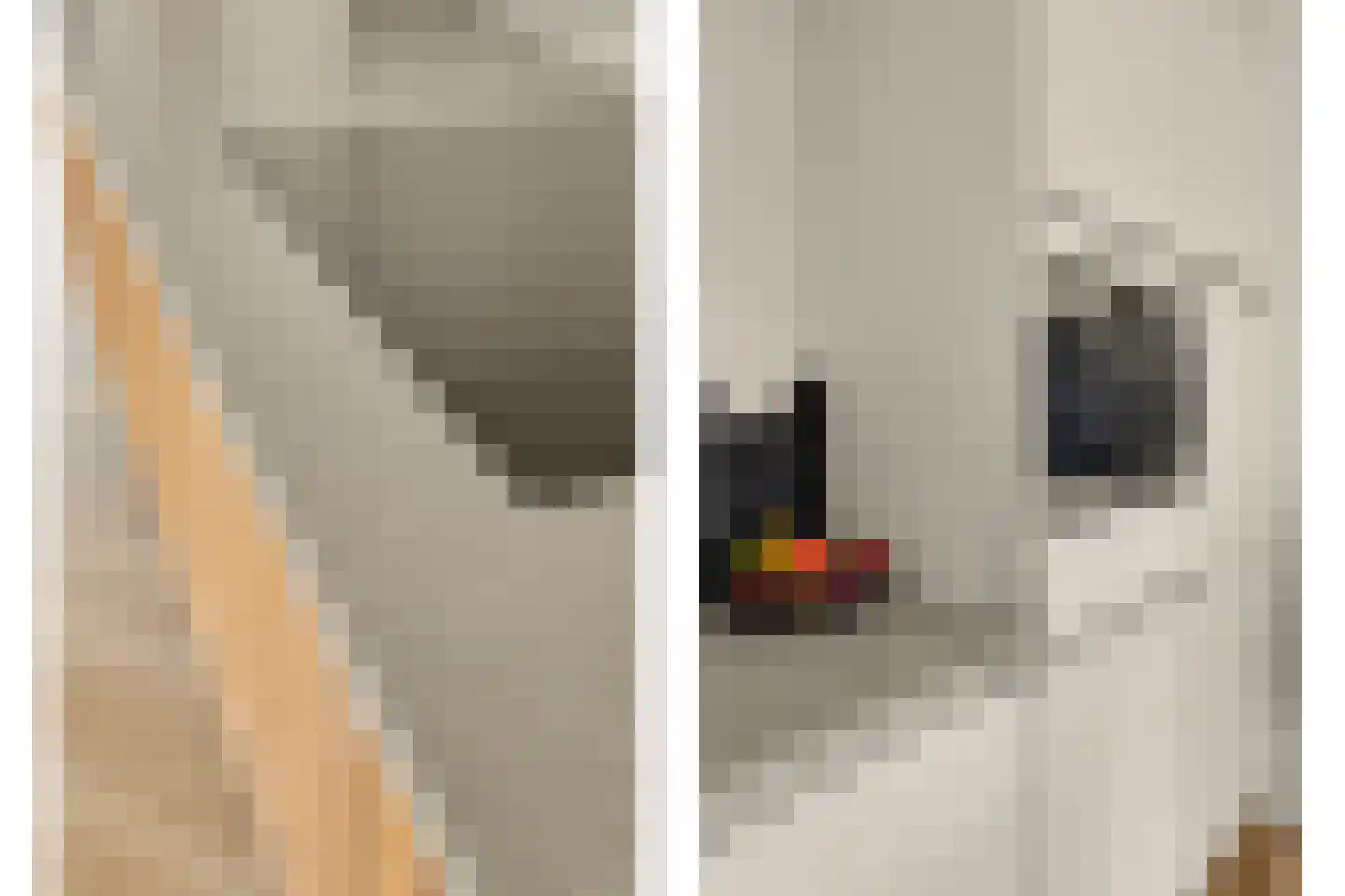 Oranjeboomstraat 9 Wemeldinge thumbnail 15