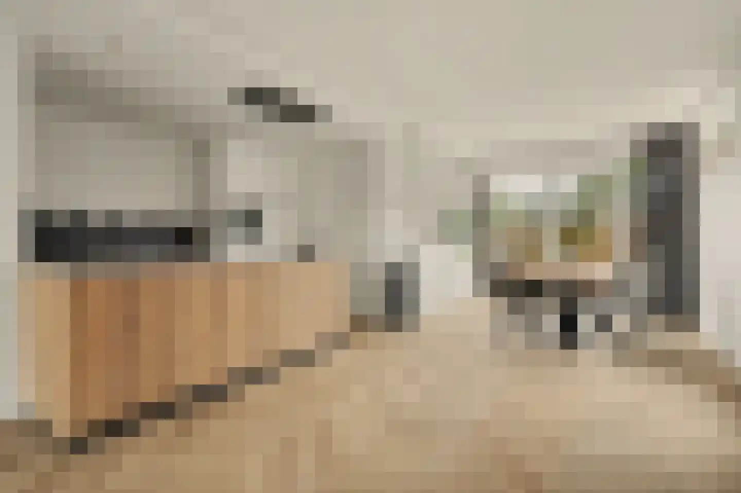 Oranjeboomstraat 9 Wemeldinge thumbnail 7
