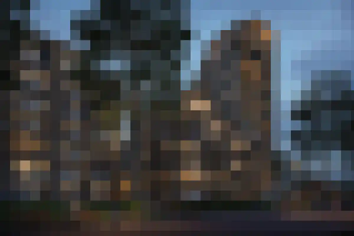 Oranjeboomstraat Rotterdam thumbnail 4