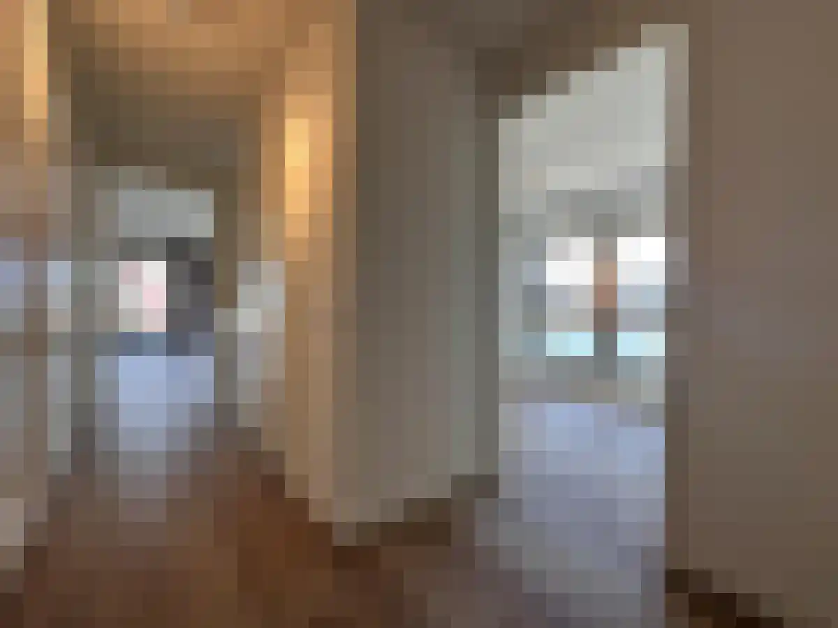 Oranjeboomstraat Rotterdam thumbnail 5