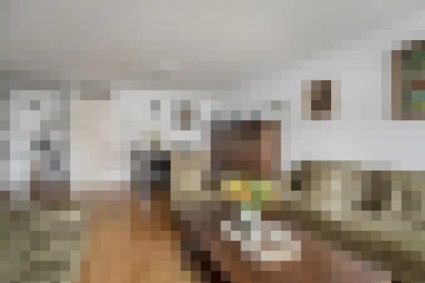 Oranjedam 8 Katwijk thumbnail 10