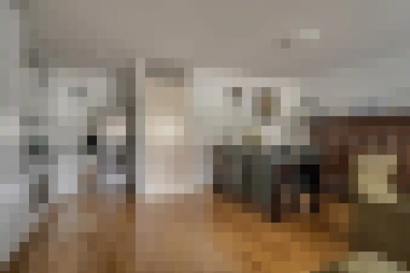 Oranjedam 8 Katwijk thumbnail 11
