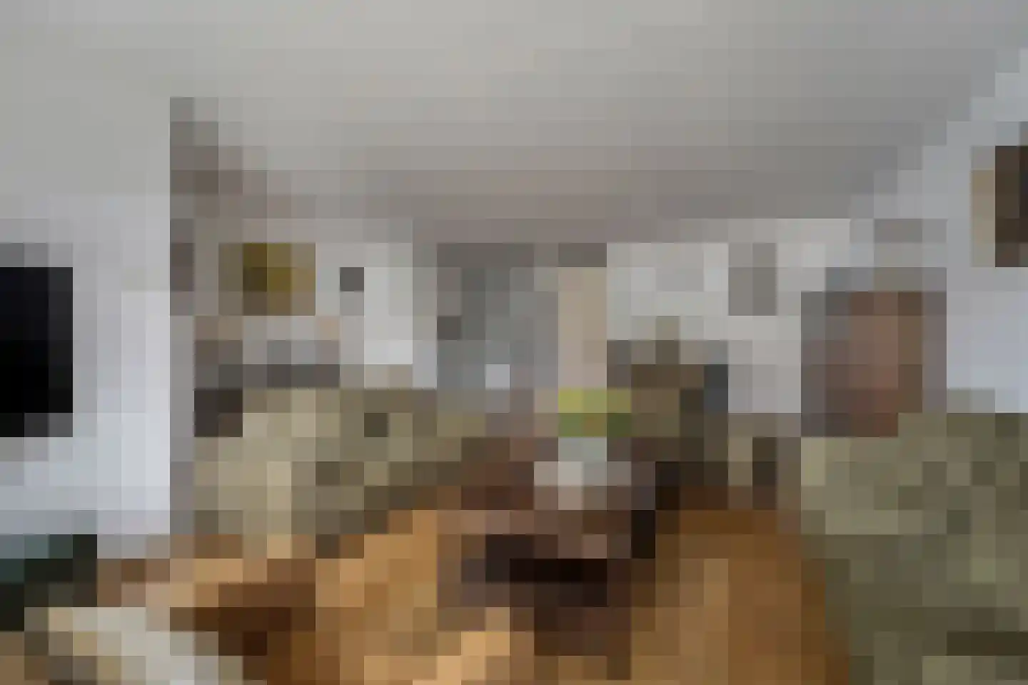 Oranjedam 8 Katwijk thumbnail 8