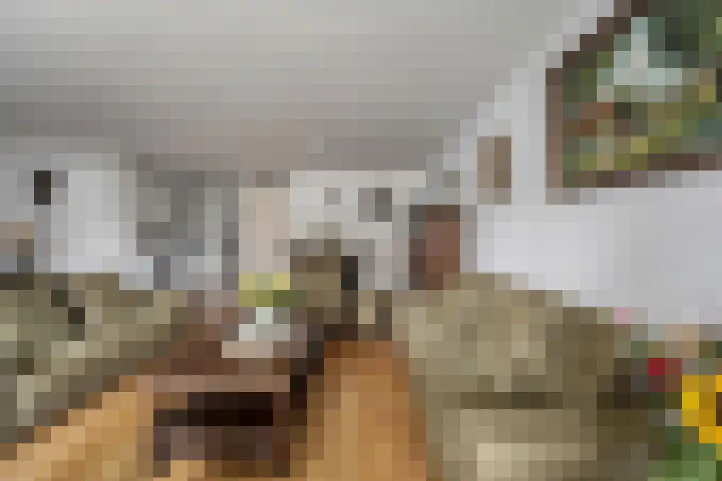 Oranjedam 8 Katwijk thumbnail 9