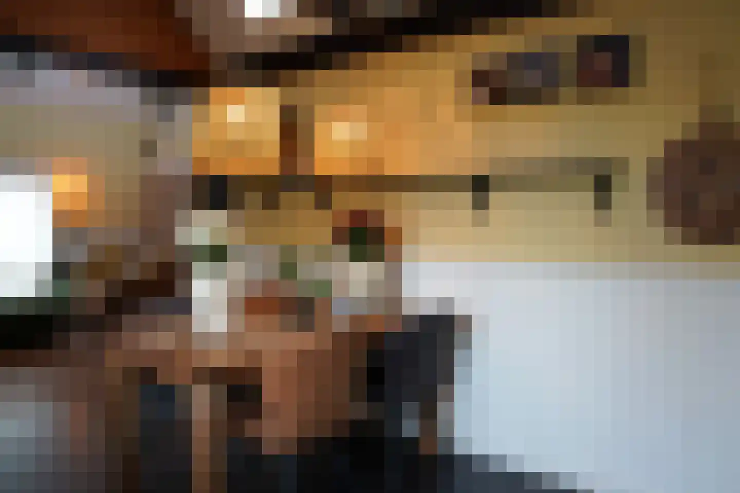 Oranjedijk 25 IJzendijke thumbnail 10