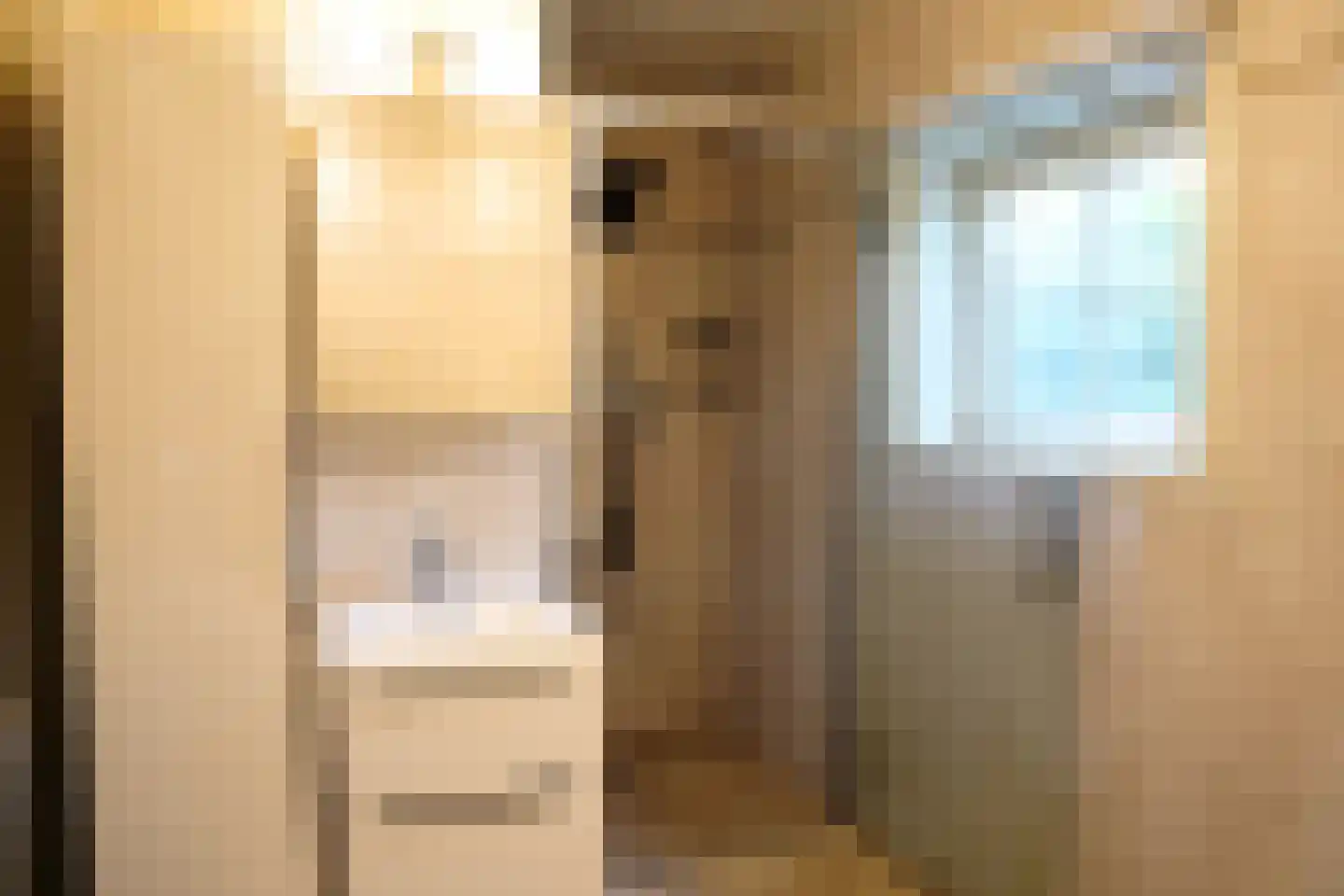 Oranjedijk 25 IJzendijke thumbnail 15