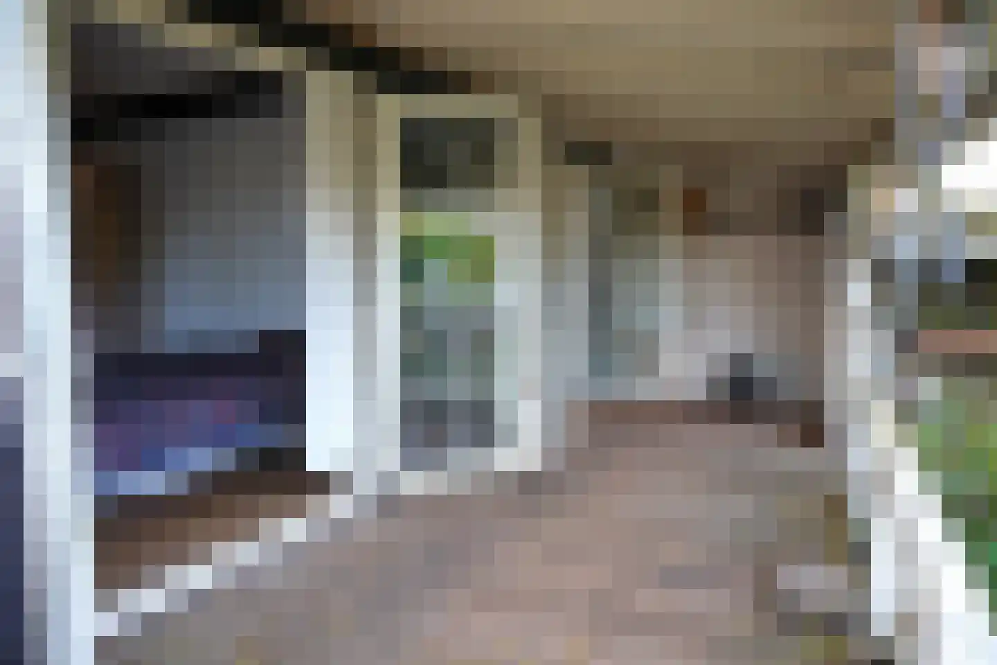 Oranjedijk 25 IJzendijke thumbnail 19