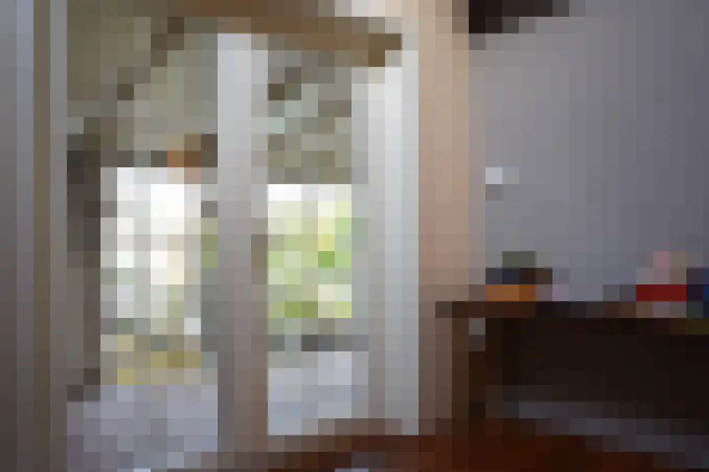 Oranjedijk 25 IJzendijke thumbnail 21