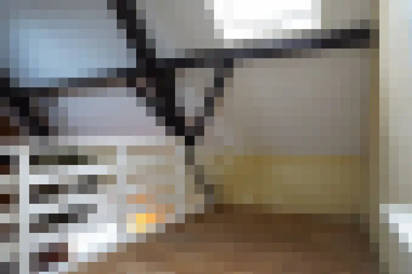 Oranjedijk 25 IJzendijke thumbnail 24