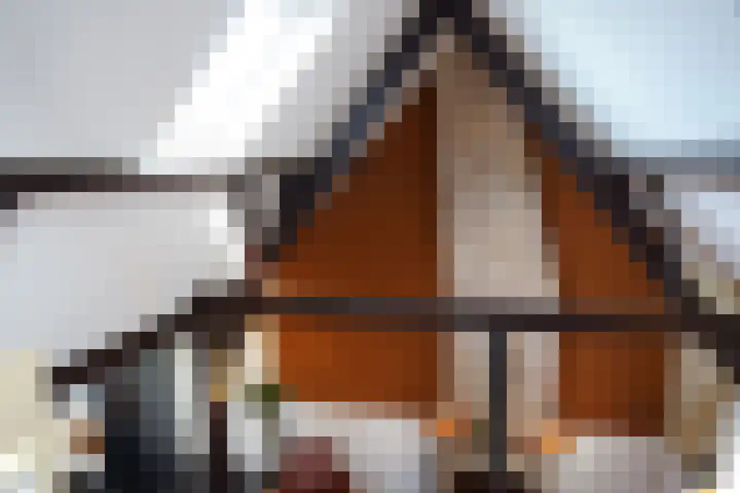 Oranjedijk 25 IJzendijke thumbnail 25