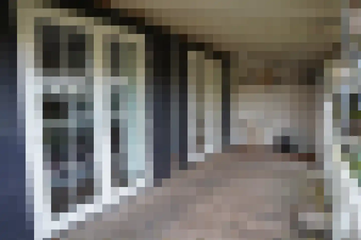Oranjedijk 25 IJzendijke thumbnail 27