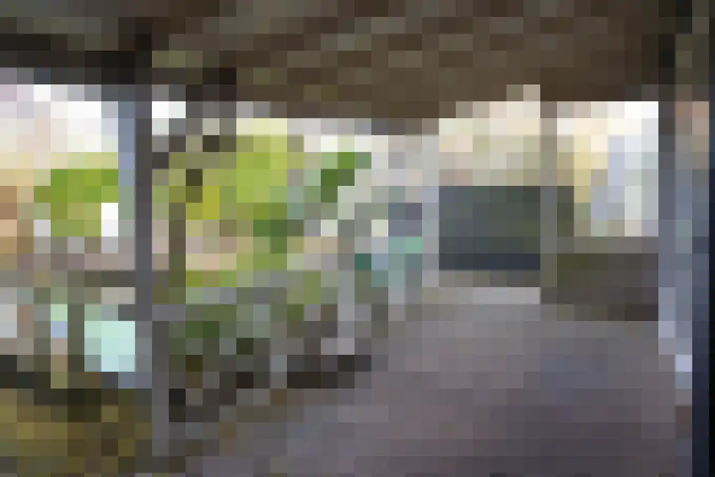Oranjedijk 25 IJzendijke thumbnail 28