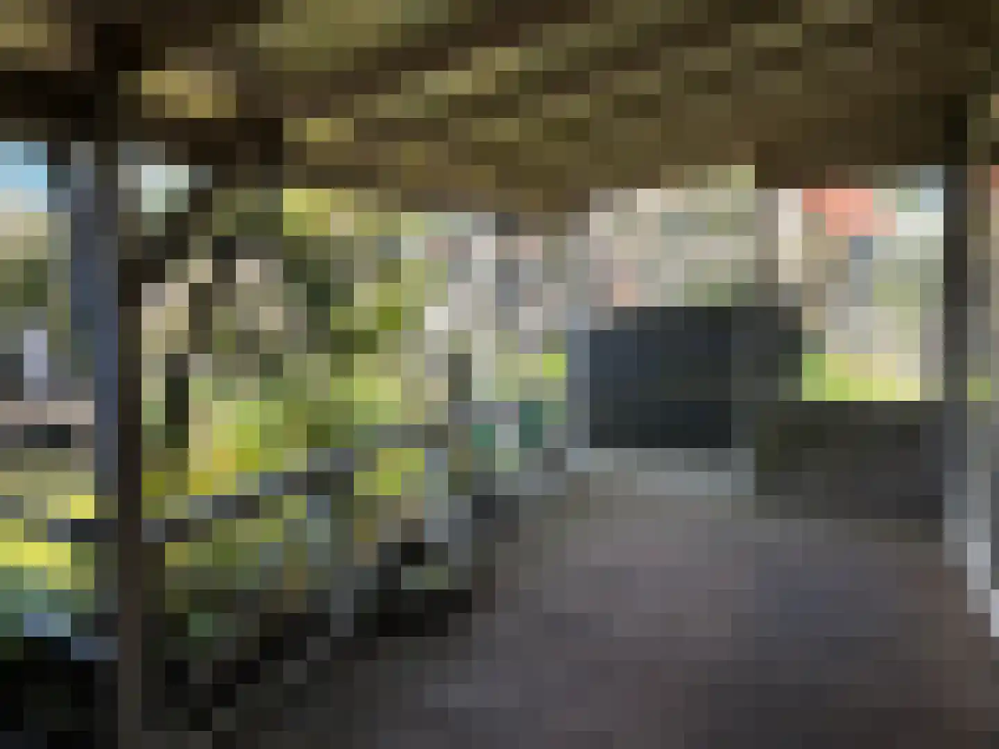 Oranjedijk 25 IJzendijke thumbnail 28