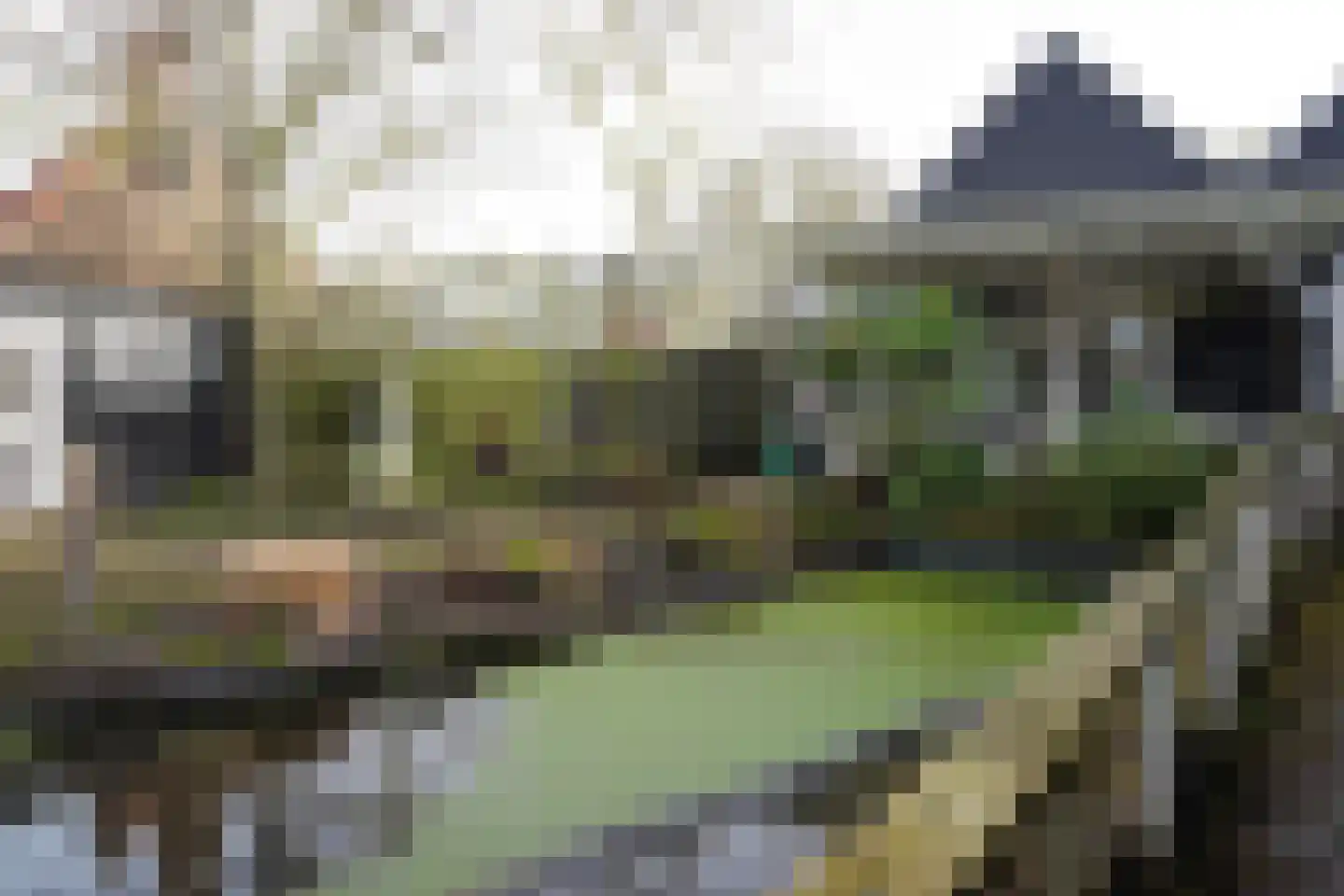 Oranjedijk 25 IJzendijke thumbnail 29