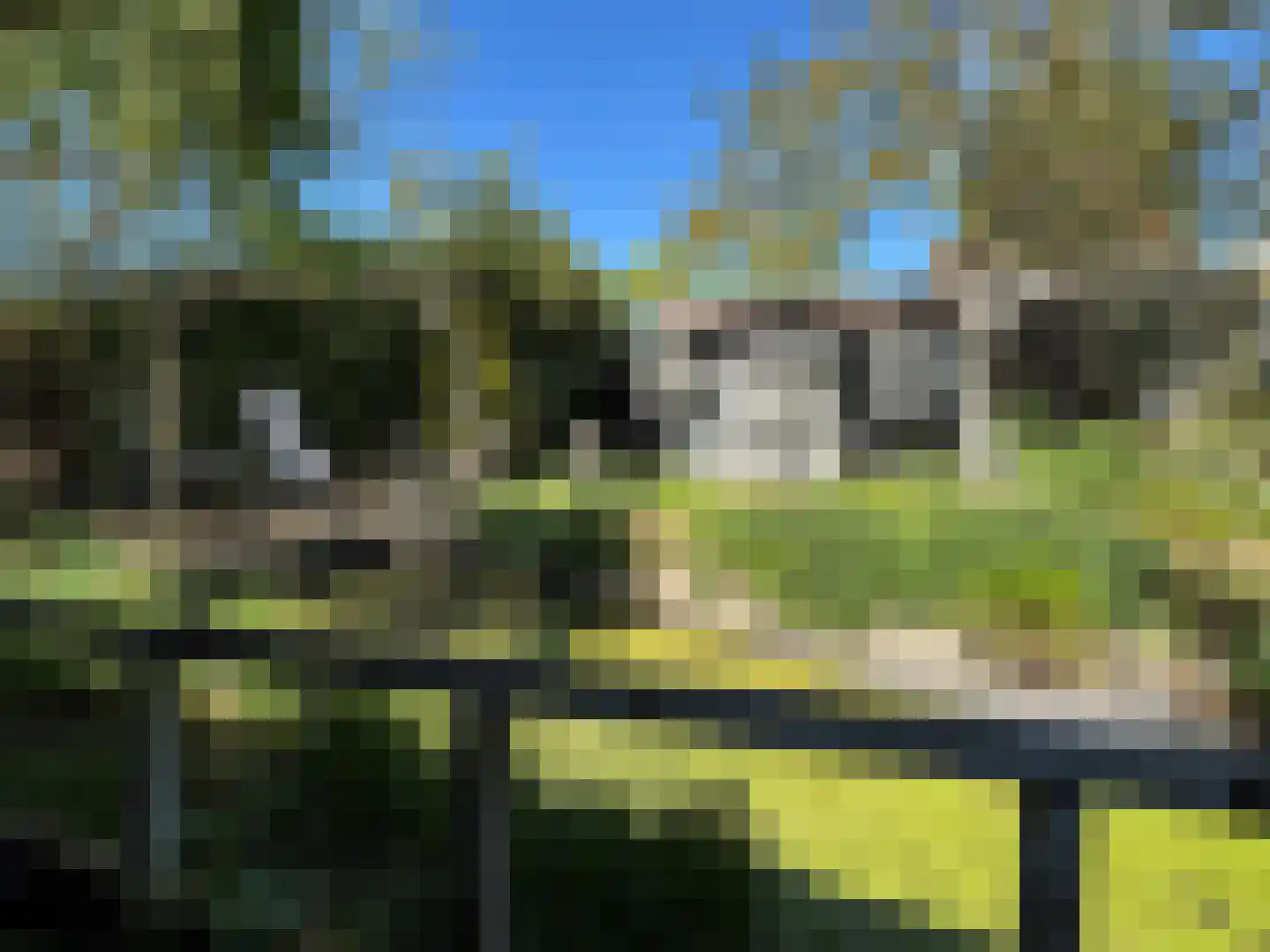 Oranjedijk 25 IJzendijke thumbnail 30