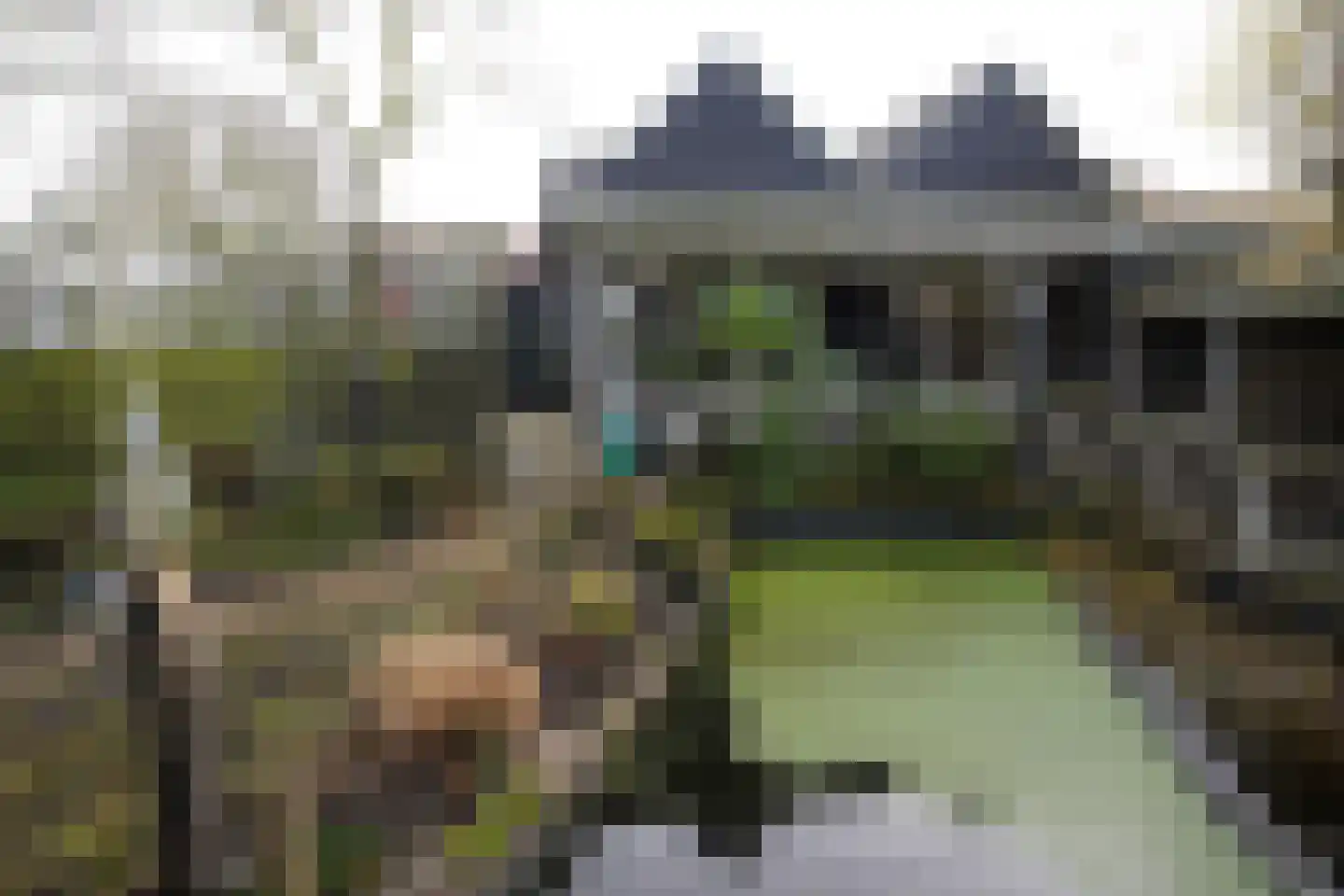 Oranjedijk 25 IJzendijke thumbnail 30