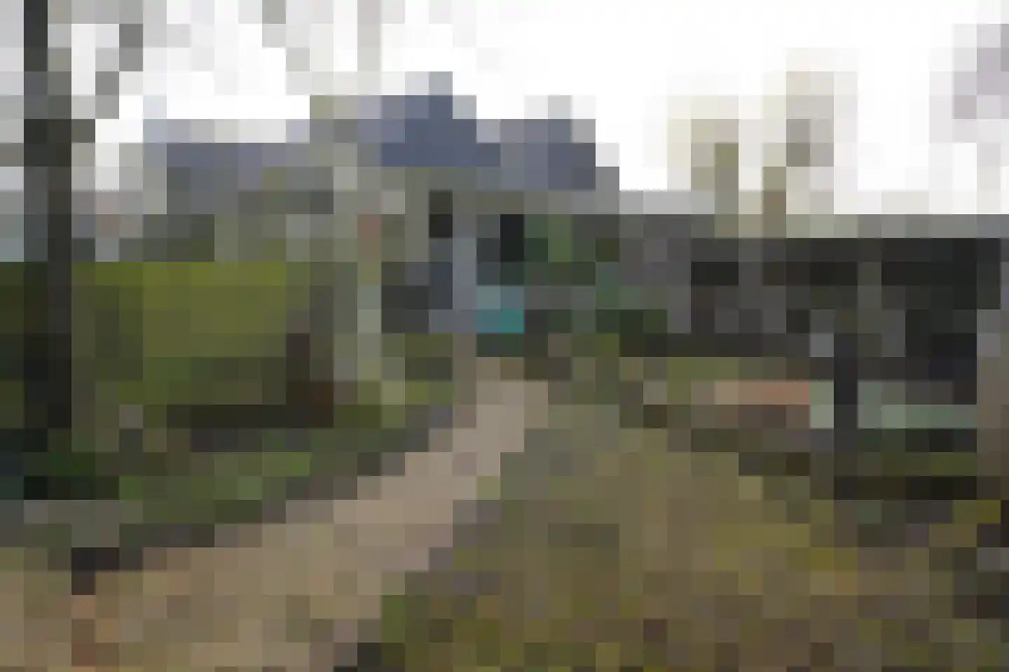 Oranjedijk 25 IJzendijke thumbnail 31