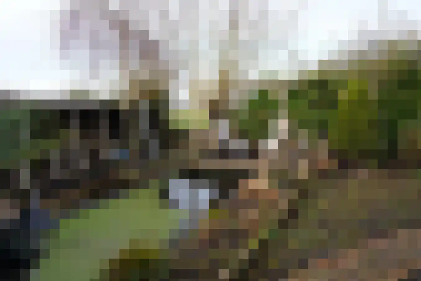Oranjedijk 25 IJzendijke thumbnail 32