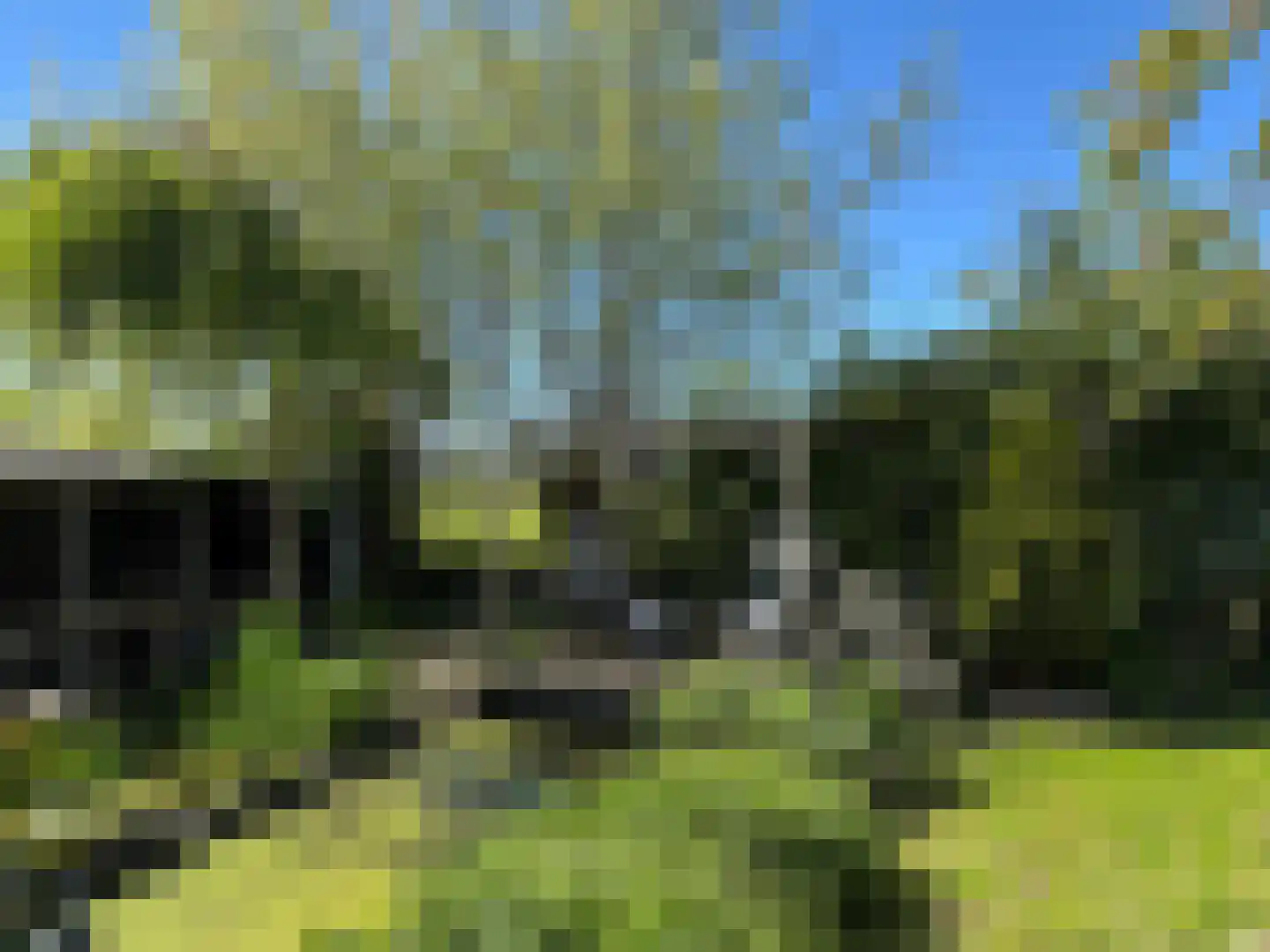 Oranjedijk 25 IJzendijke thumbnail 32